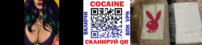 где продают наркотики  Минусинск  kraken как зайти  Cocaine FishScale 
