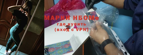 хмурый Арсеньев