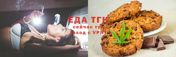 хмурый Арсеньев