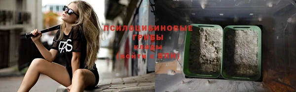 хмурый Арсеньев