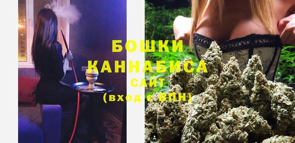 хмурый Арсеньев
