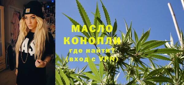 хмурый Арсеньев