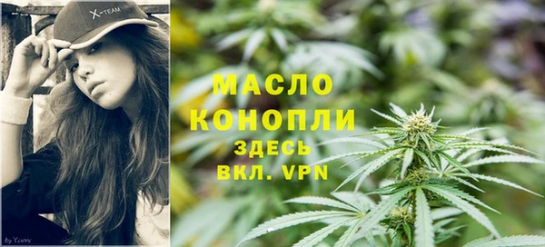 хмурый Арсеньев