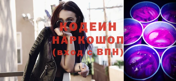 хмурый Арсеньев