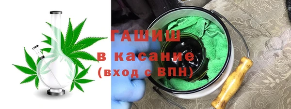 хмурый Арсеньев