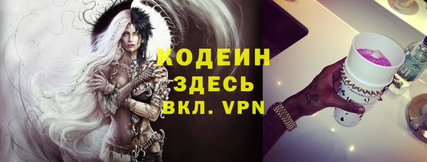 хмурый Арсеньев