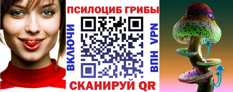 Псилоцибиновые грибы ЛСД  OMG как войти  Минусинск 